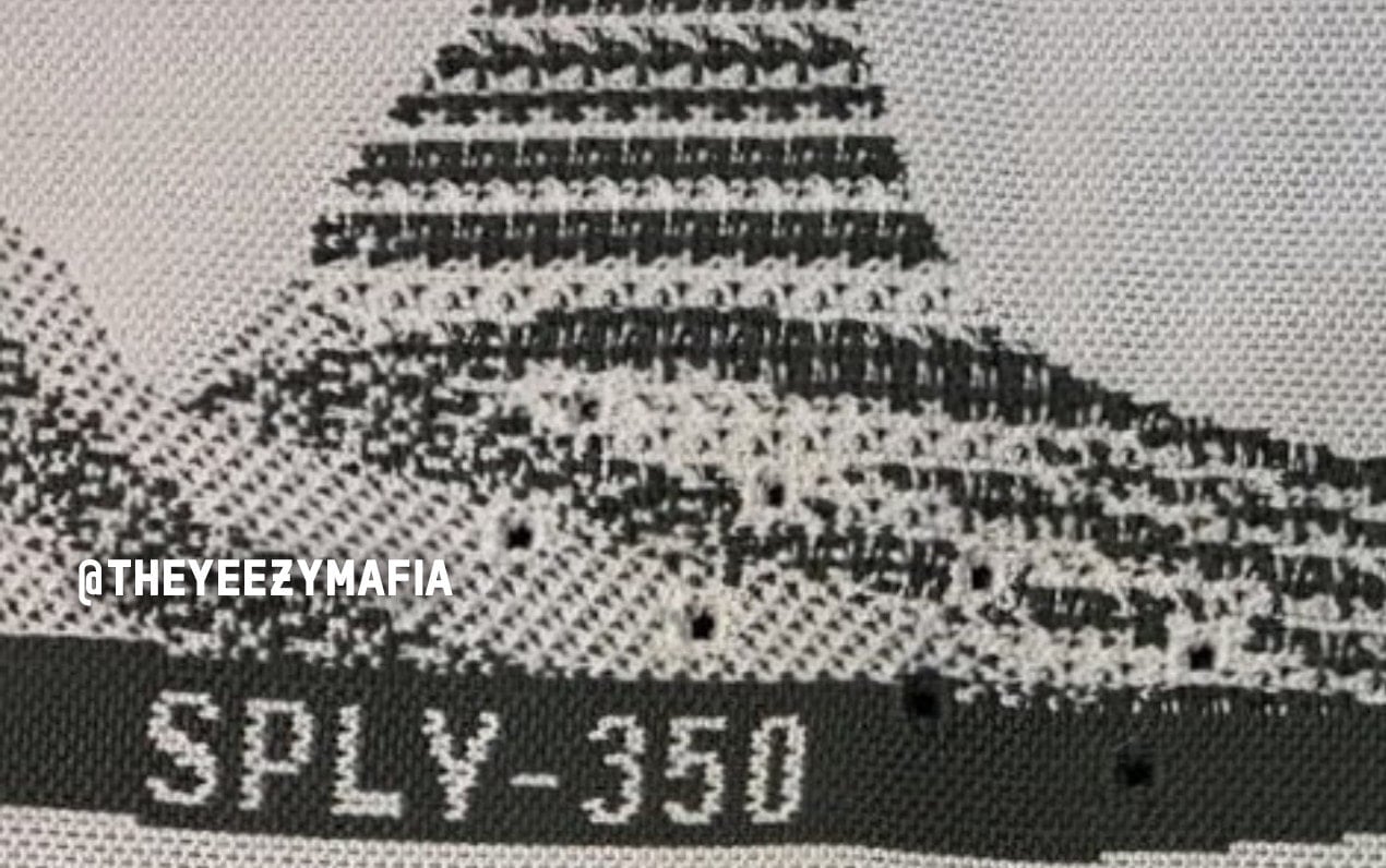 adidas Yeezy 350 SPLY Boost V2 Turtle Dove