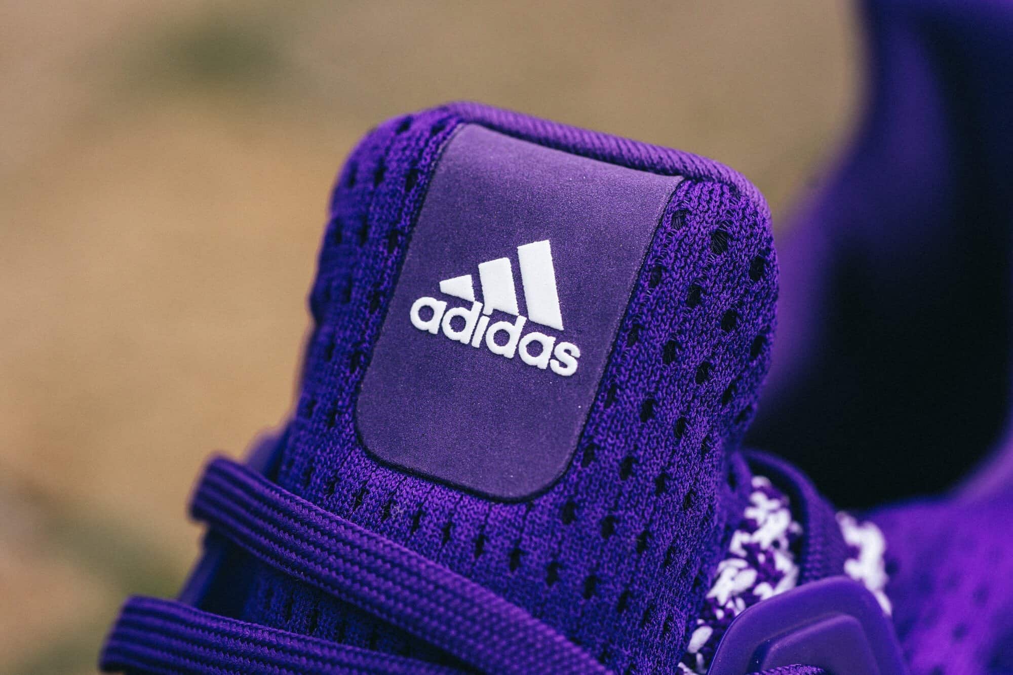 University Of Washington Huskies Are Honored on this adidas Ultra Boost