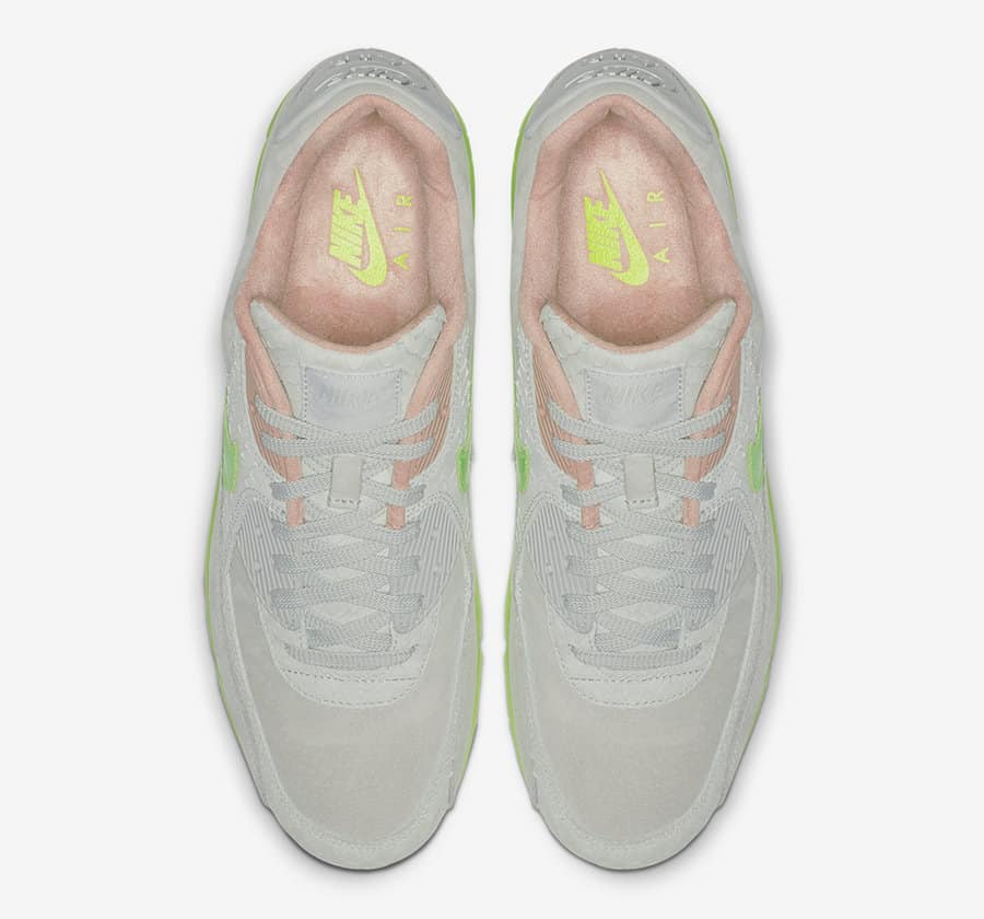 Nike Air Max 90 Platinum New Species