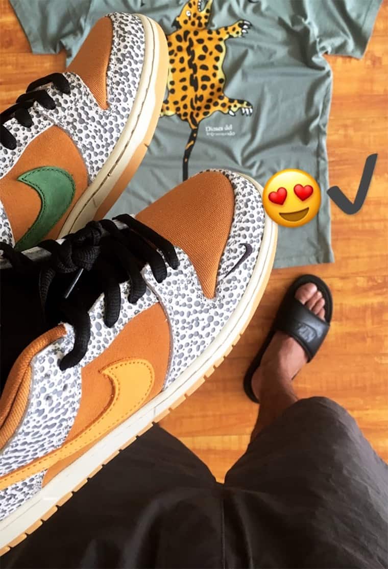 On-Foot Look: Nike SB Dunk Low "Safari"