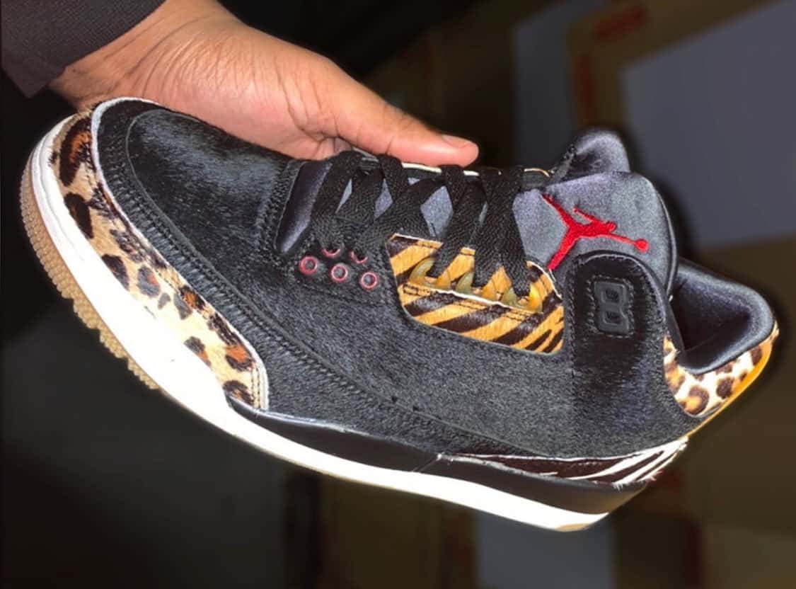 E14193ed Air Jordan 3 Animal Pack CK4344-001
