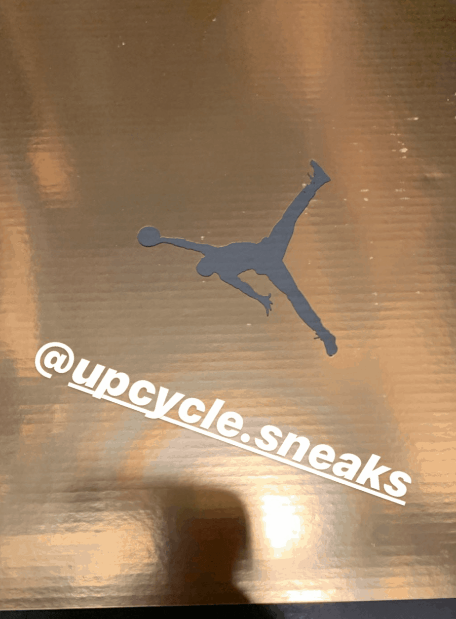 Air Jordan 6 Dmp