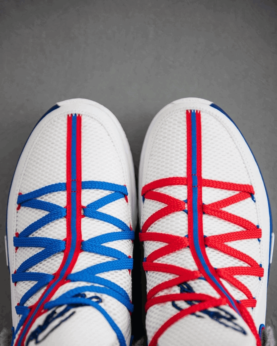 Nike LeBron 17 Low “Toon Squad”