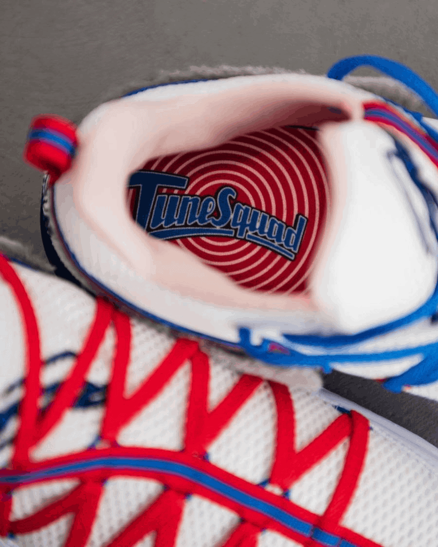 Nike LeBron 17 Low “Toon Squad”