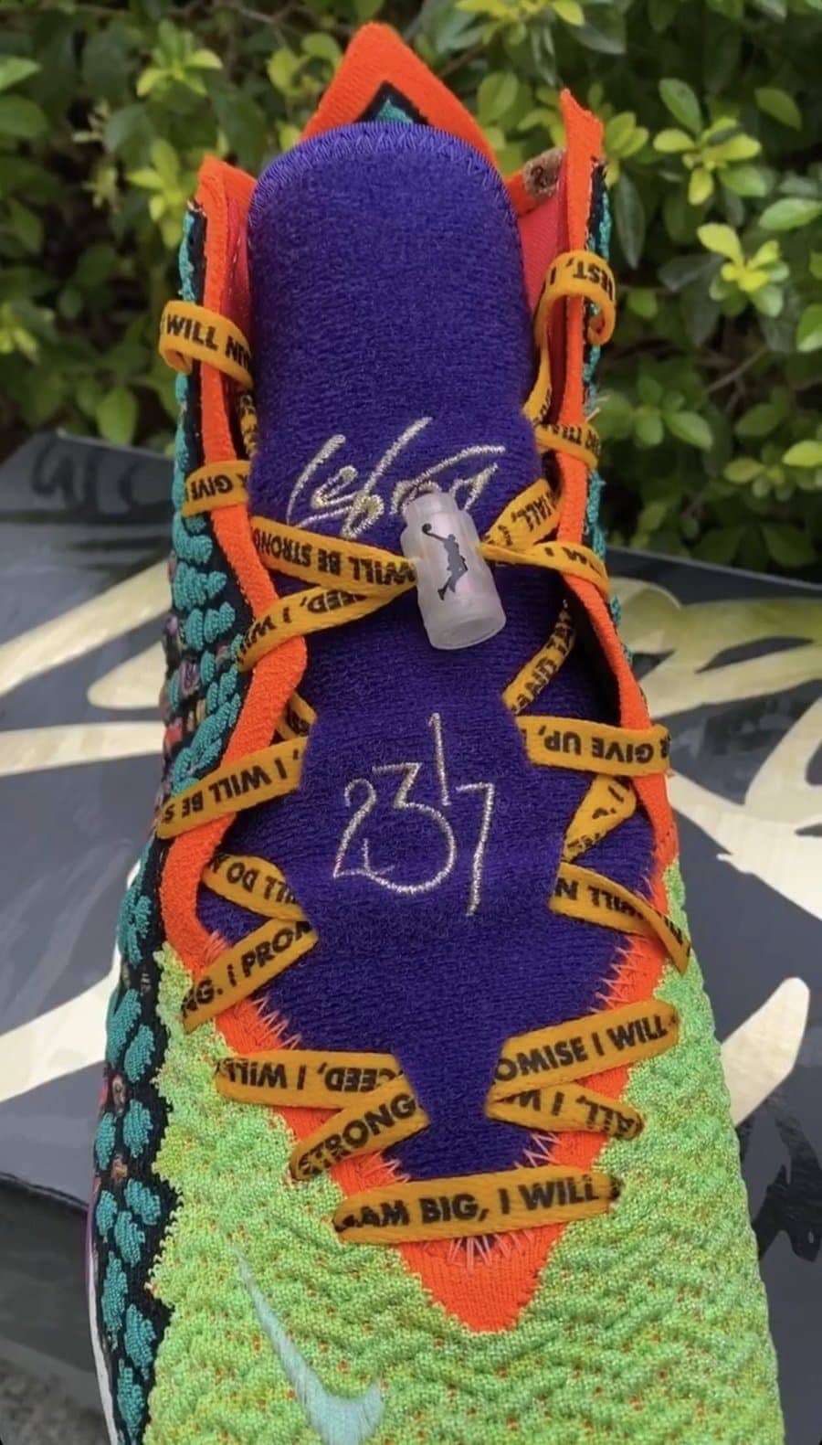 Nike LeBron 17 What The