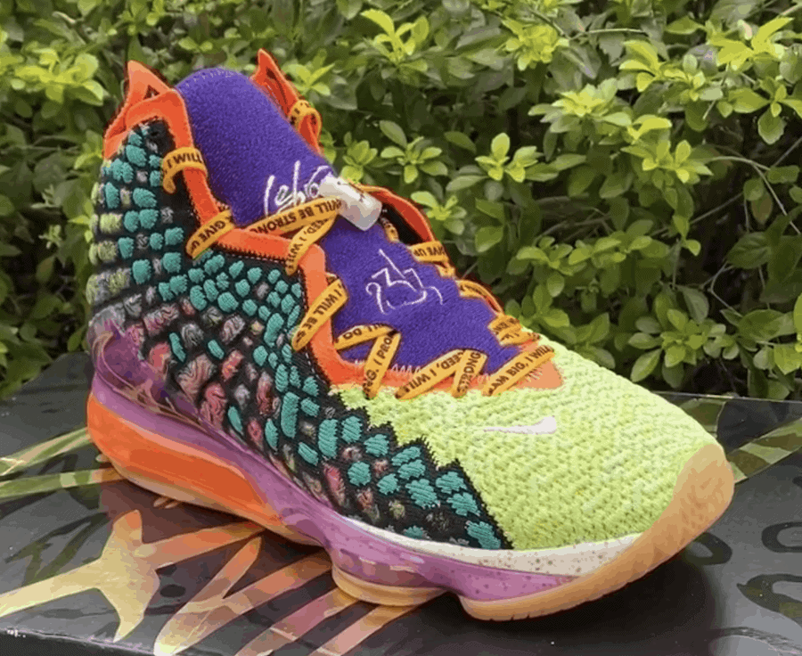 Nike LeBron 17 What The