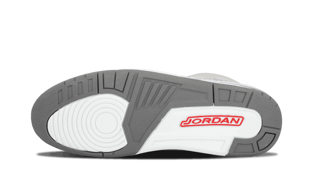 Air Jordan 3 "Cool Grey"