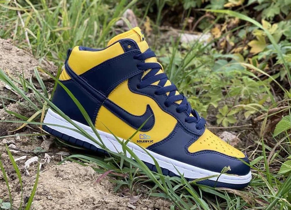 Nike Dunk High Michigan 2020