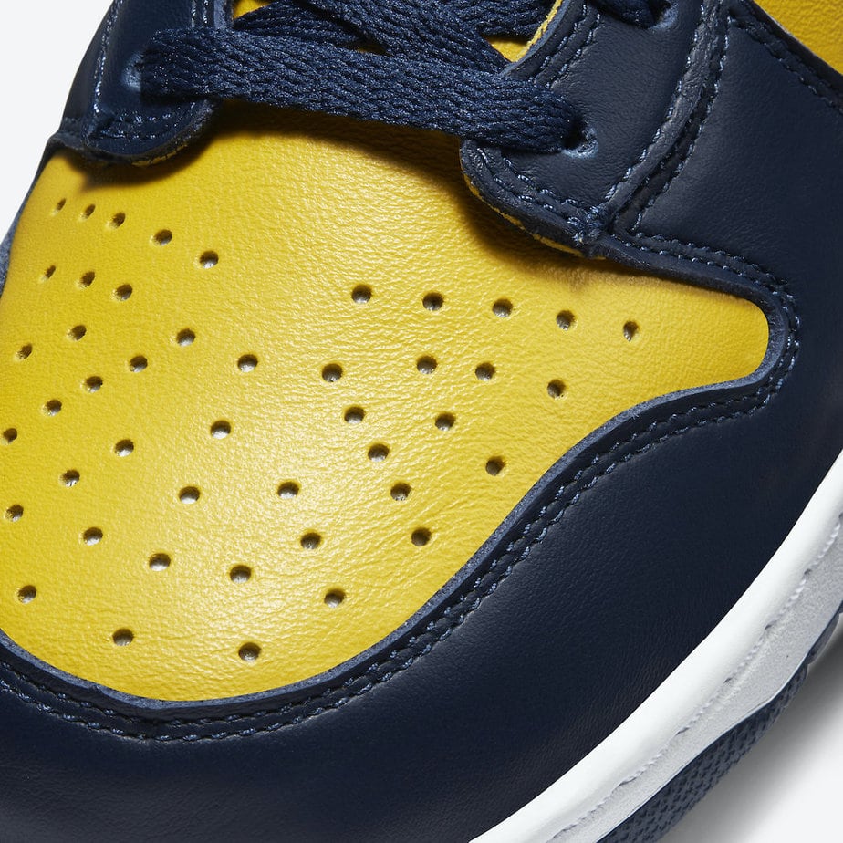 Nike Dunk High Michigan 2020