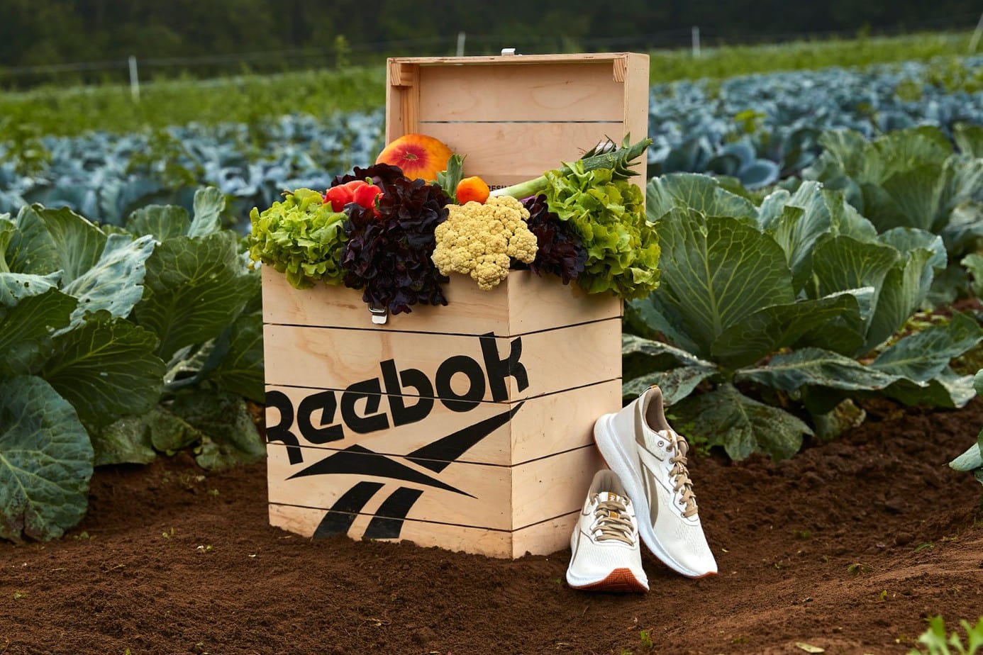 Reebok Forever Floatride Grow Info 002