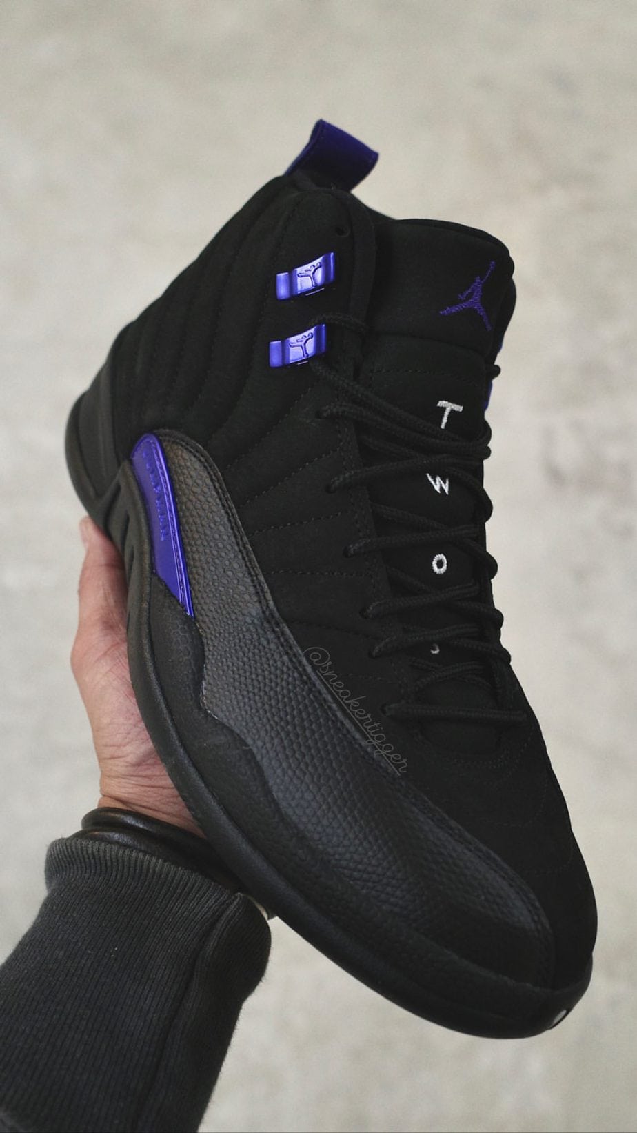 Air Jordan 12 Dark Concord