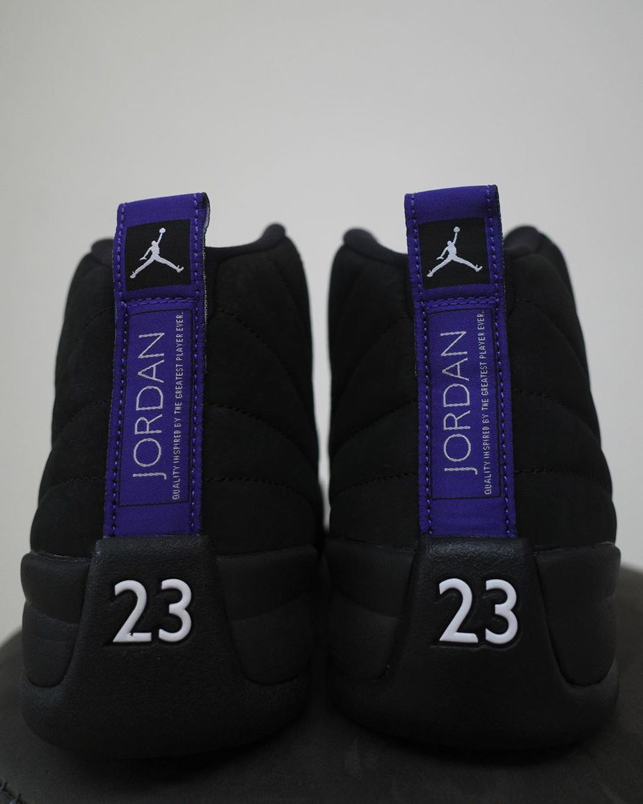 Air Jordan 12 Dark Concord
