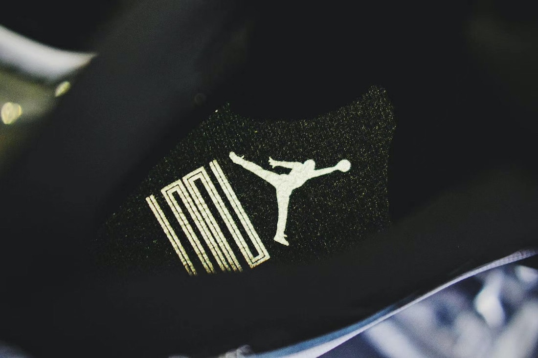 Air Jordan 11 Jubilee 25th Anniversary