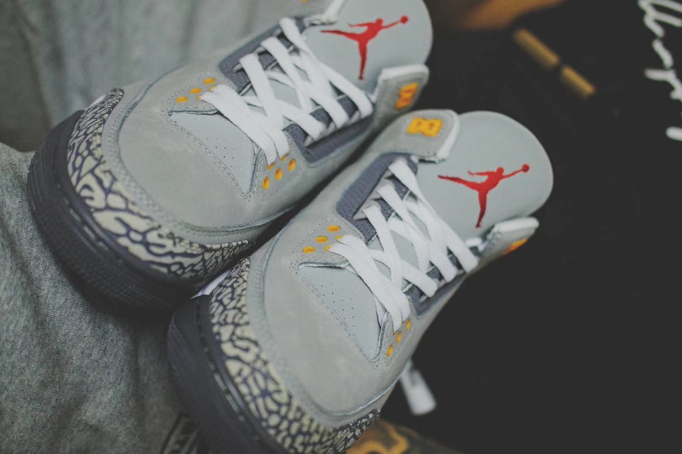 Air Jordan 3 "Cool Grey"