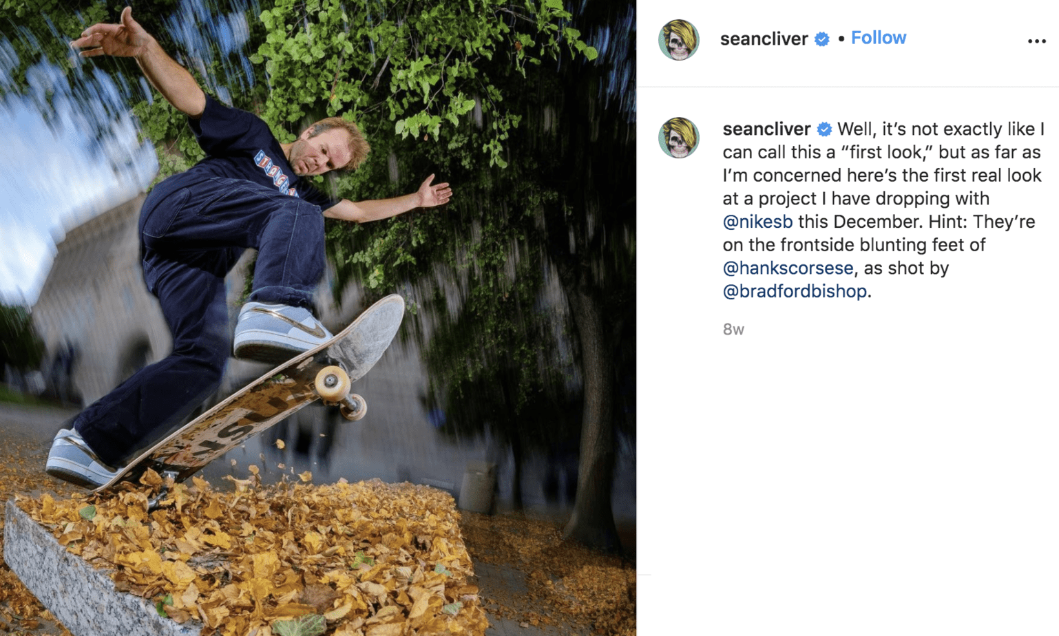 Sean Cliver Nike SB Dunk Low