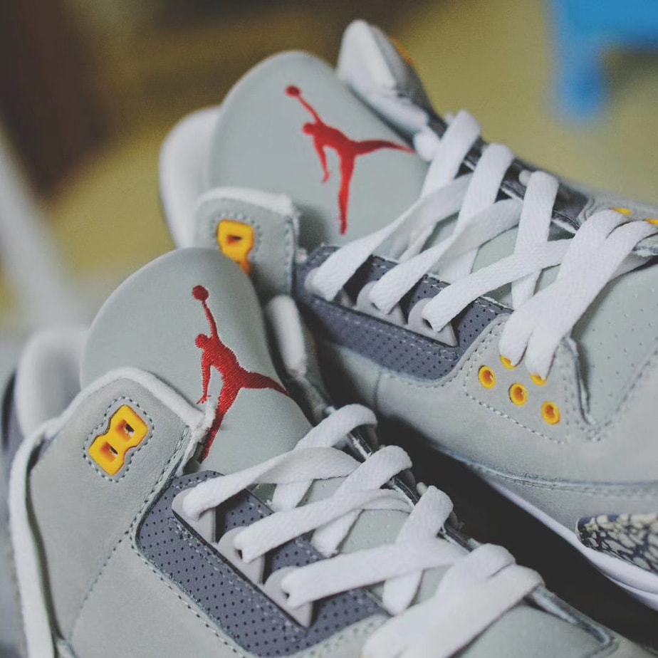 Air Jordan 3 "Cool Grey"