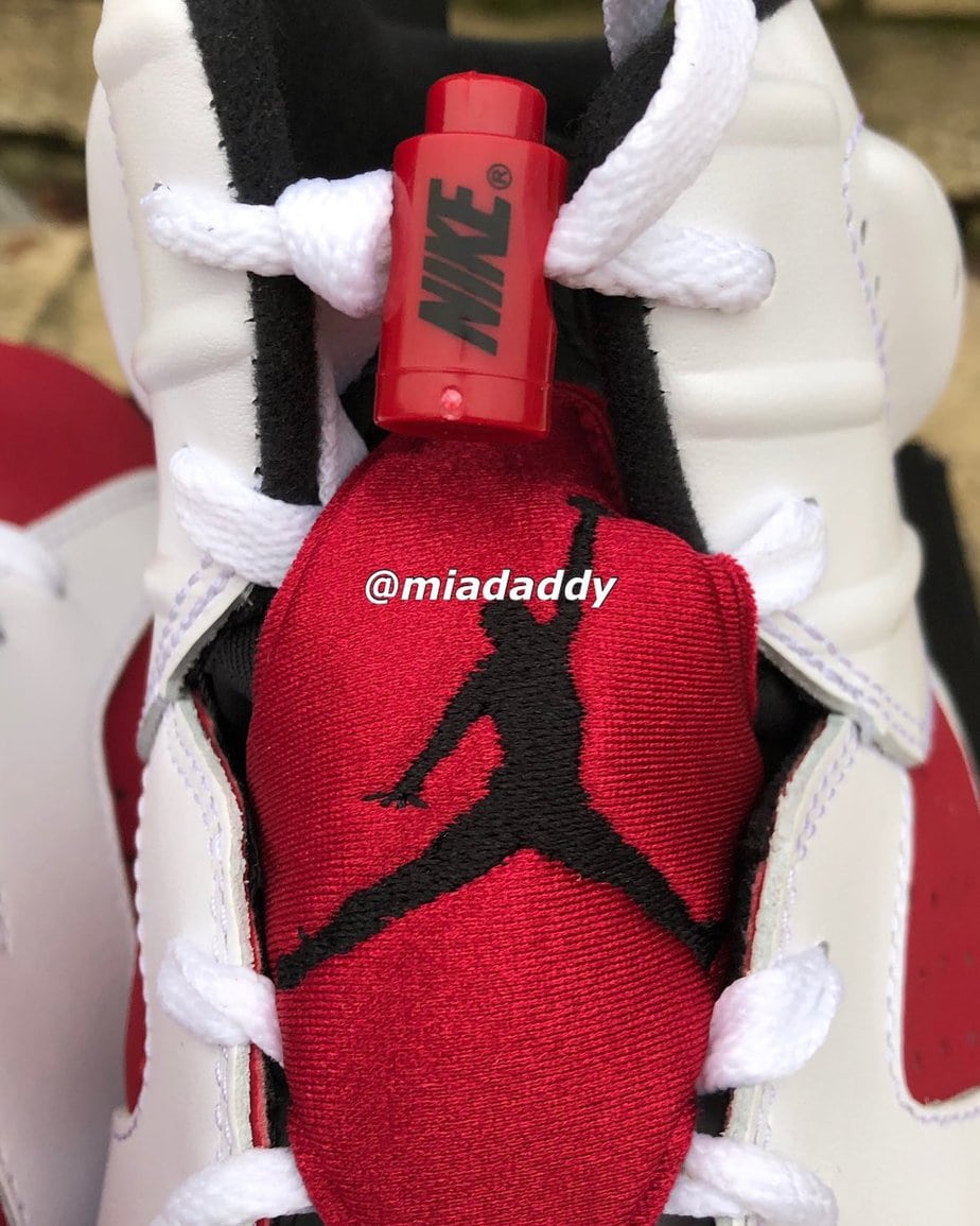 Air Jordan 6 Carmine 2021