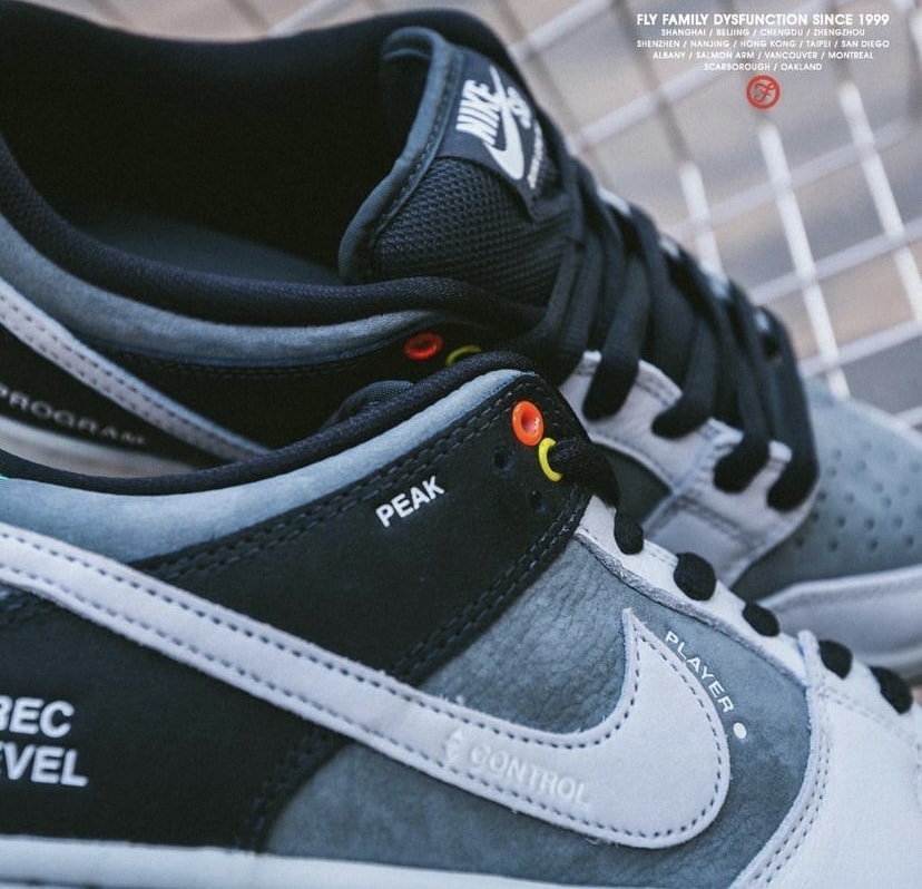 Official Look at the Nike SB Dunk Low Pro "Camcorder"