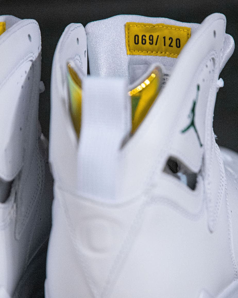 Oregon Ducks Receive an Air Jordan 7 PE