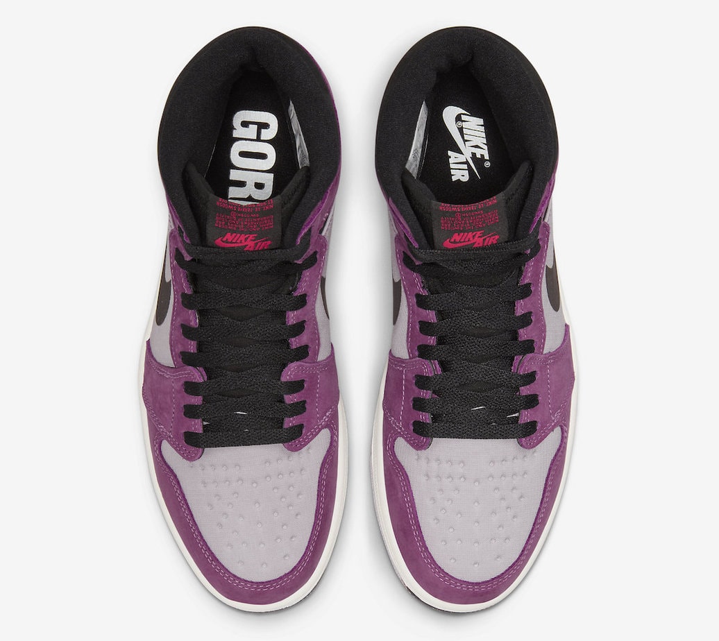 Air Jordan 1 Element Gore Tex DB2889-500