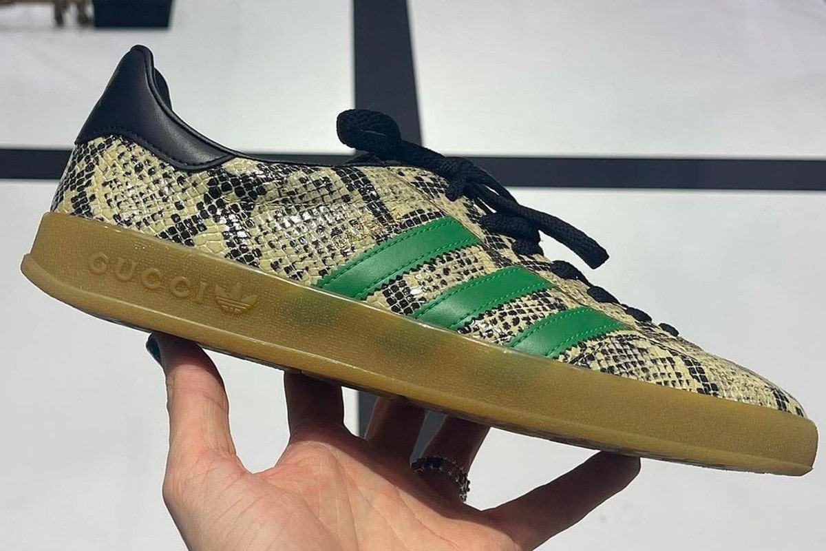 Gucci adidas Gazelle