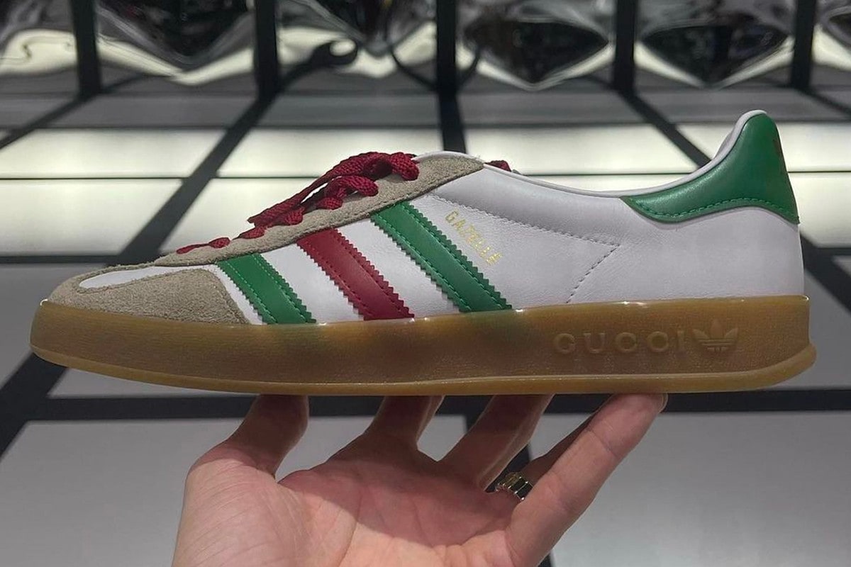 Gucci adidas Gazelle