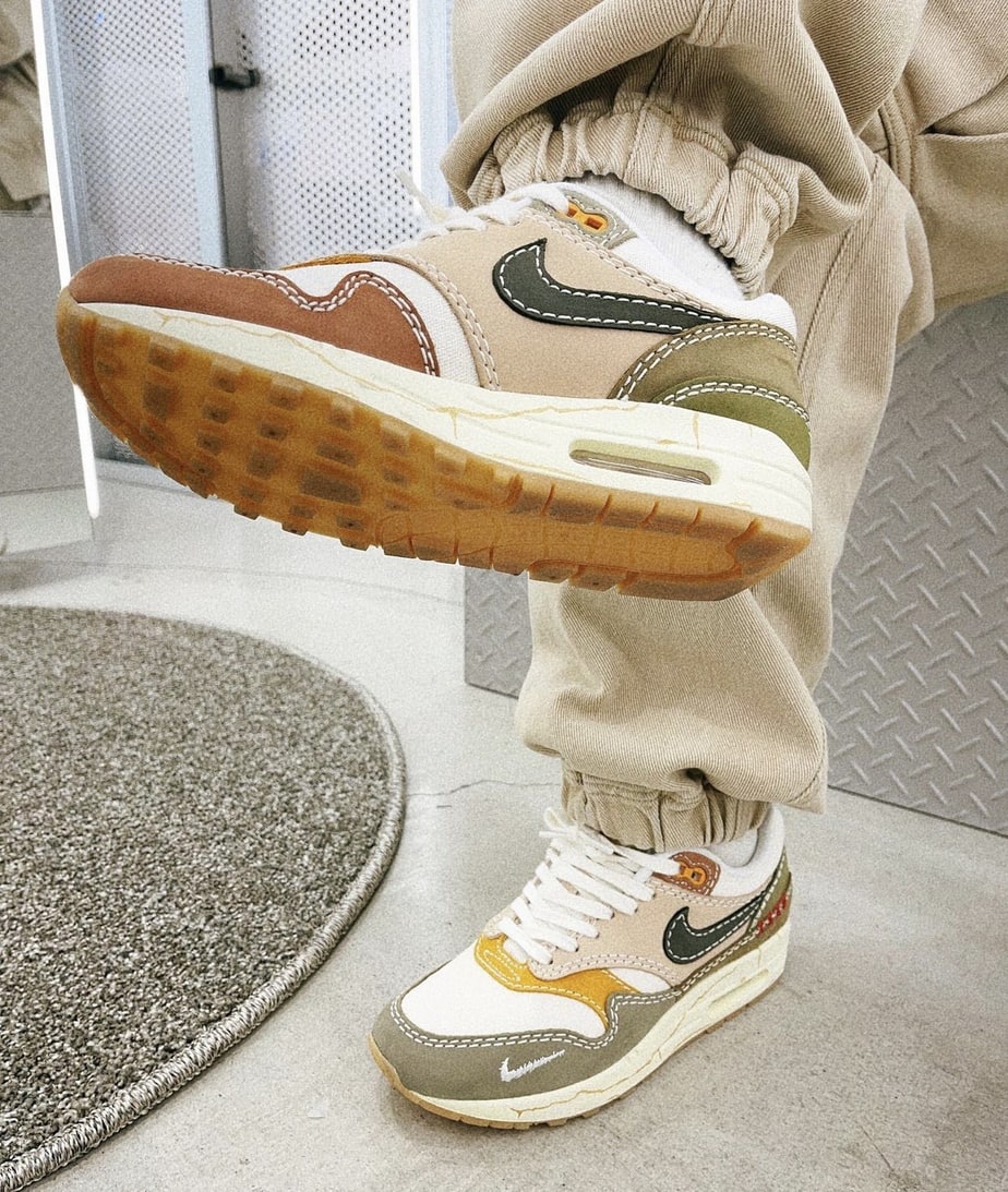 Nike Air Max 1 Wabi Sabi DQ8656-133