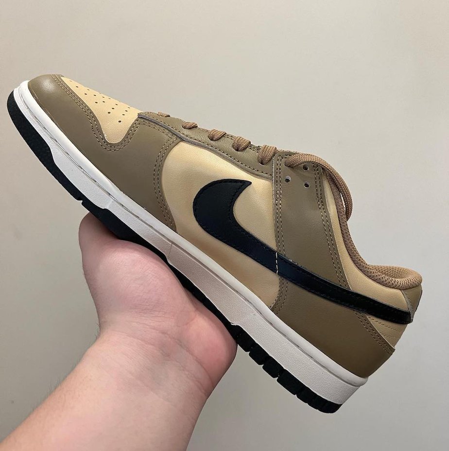 Nike-Dunk-Low-Dark-Driftwood-Black-Sesame-Sail-DD1503-200-Release-Date-1