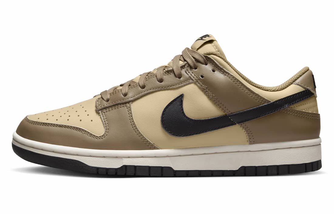 Nike-Dunk-Low-Dark-Driftwood-DD1503-200-Release-Date-4