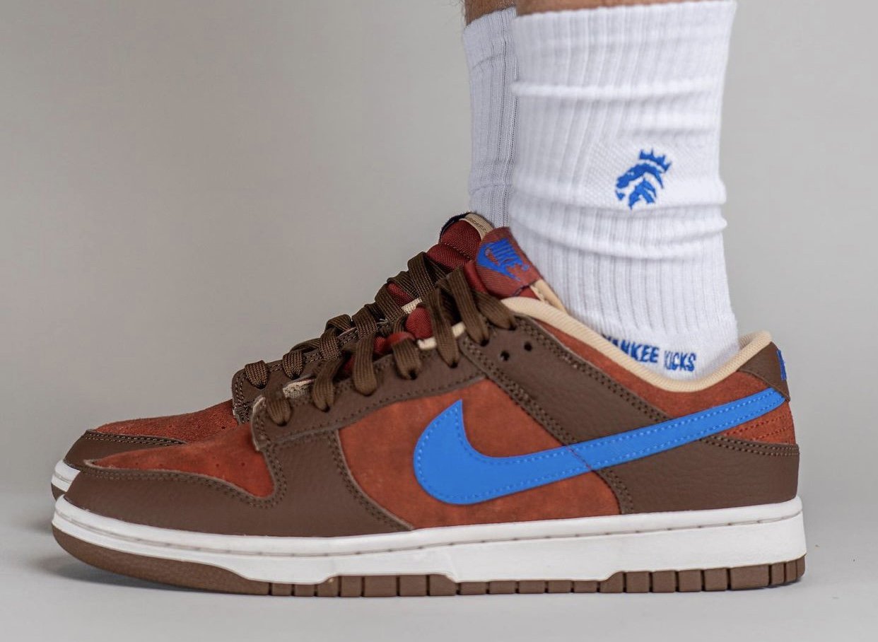 Nike-Dunk-Low-Mars-Stone-Comet-Blue-DR9704-200-On-Feet