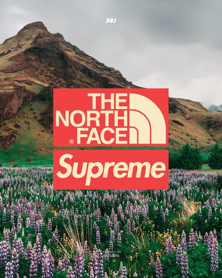 supreme x the north face ss23