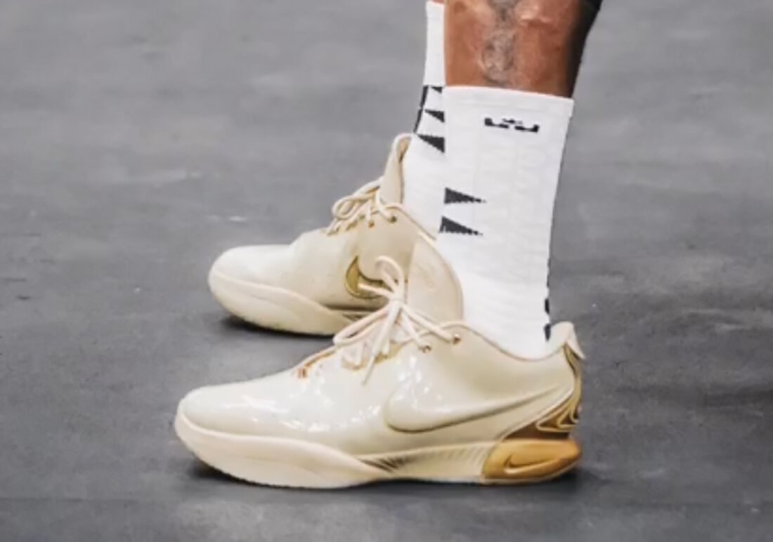 LeBron James Has Revealed the Nike LeBron 21