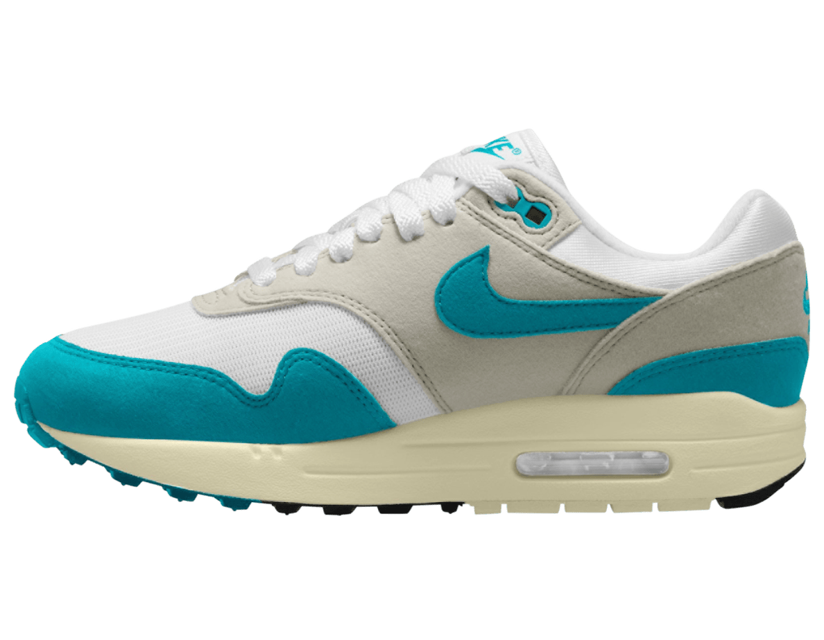 Nike Air Max 1 Dusty Cactus