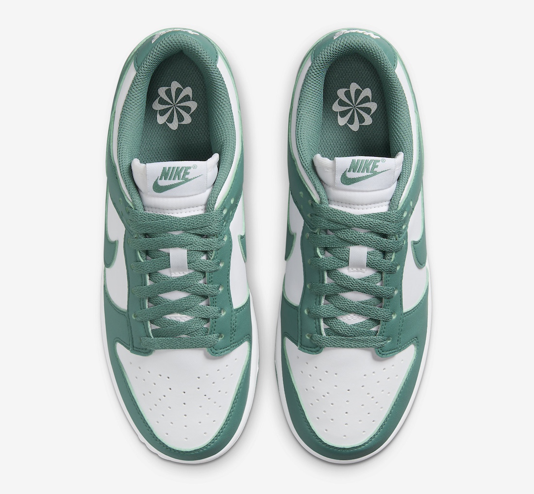 Nike Dunk Low Next Nature Bicoastal DD1873-107