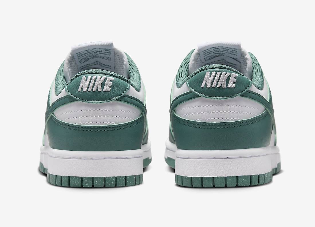 Nike Dunk Low Next Nature Bicoastal DD1873-107