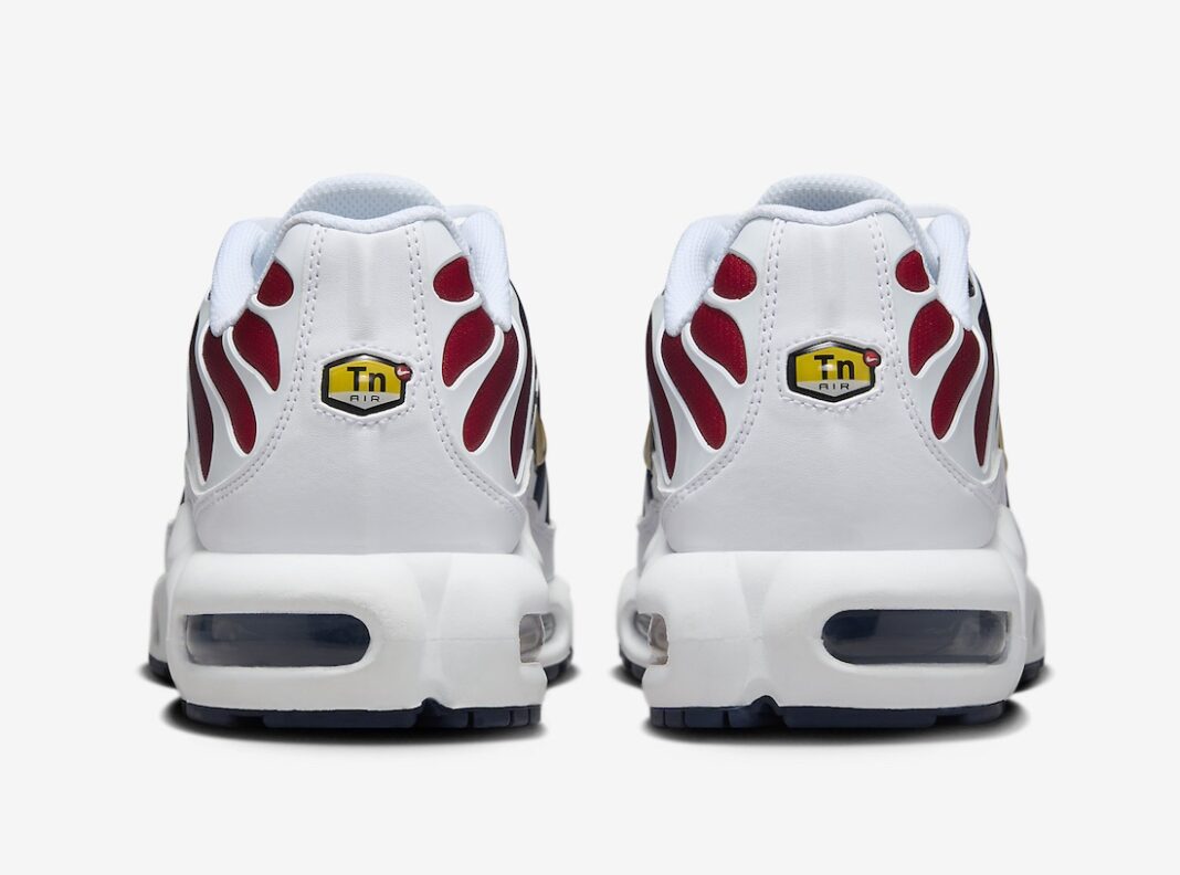 Air Max Plus PSG
