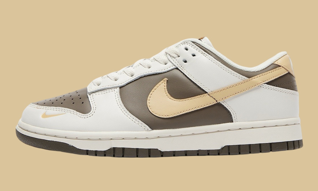 Nike Dunk Low Ironstone HM9655-001