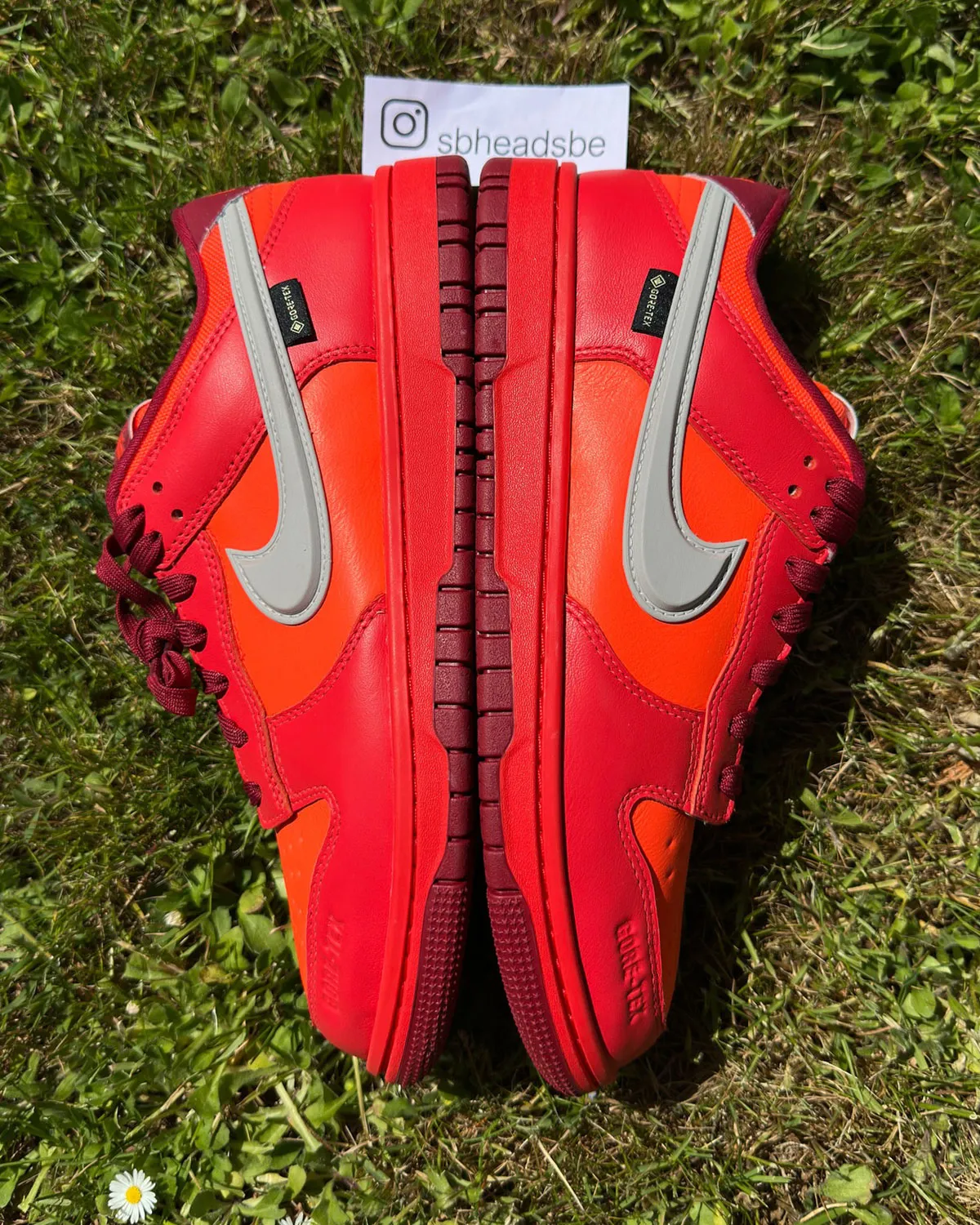 Nike Dunk Low Gore-Tex Crimson HQ2053-800