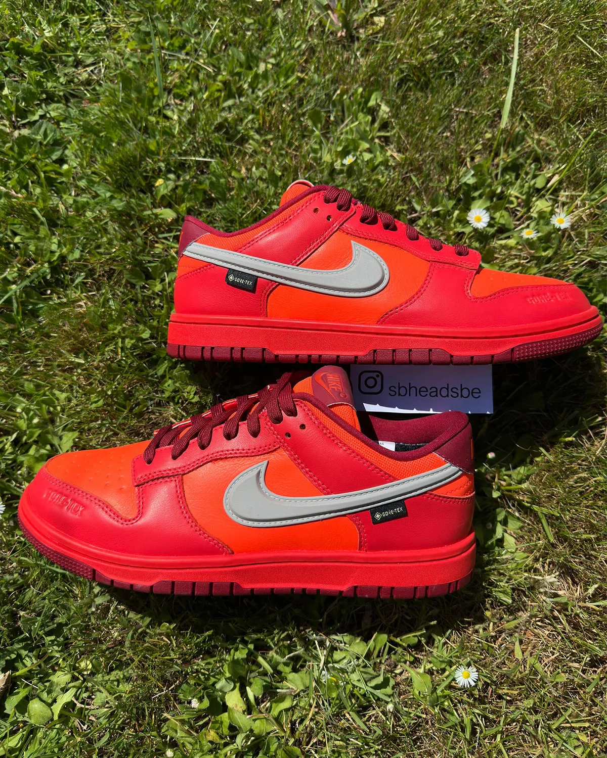 Nike Dunk Low Gore-Tex Crimson HQ2053-800