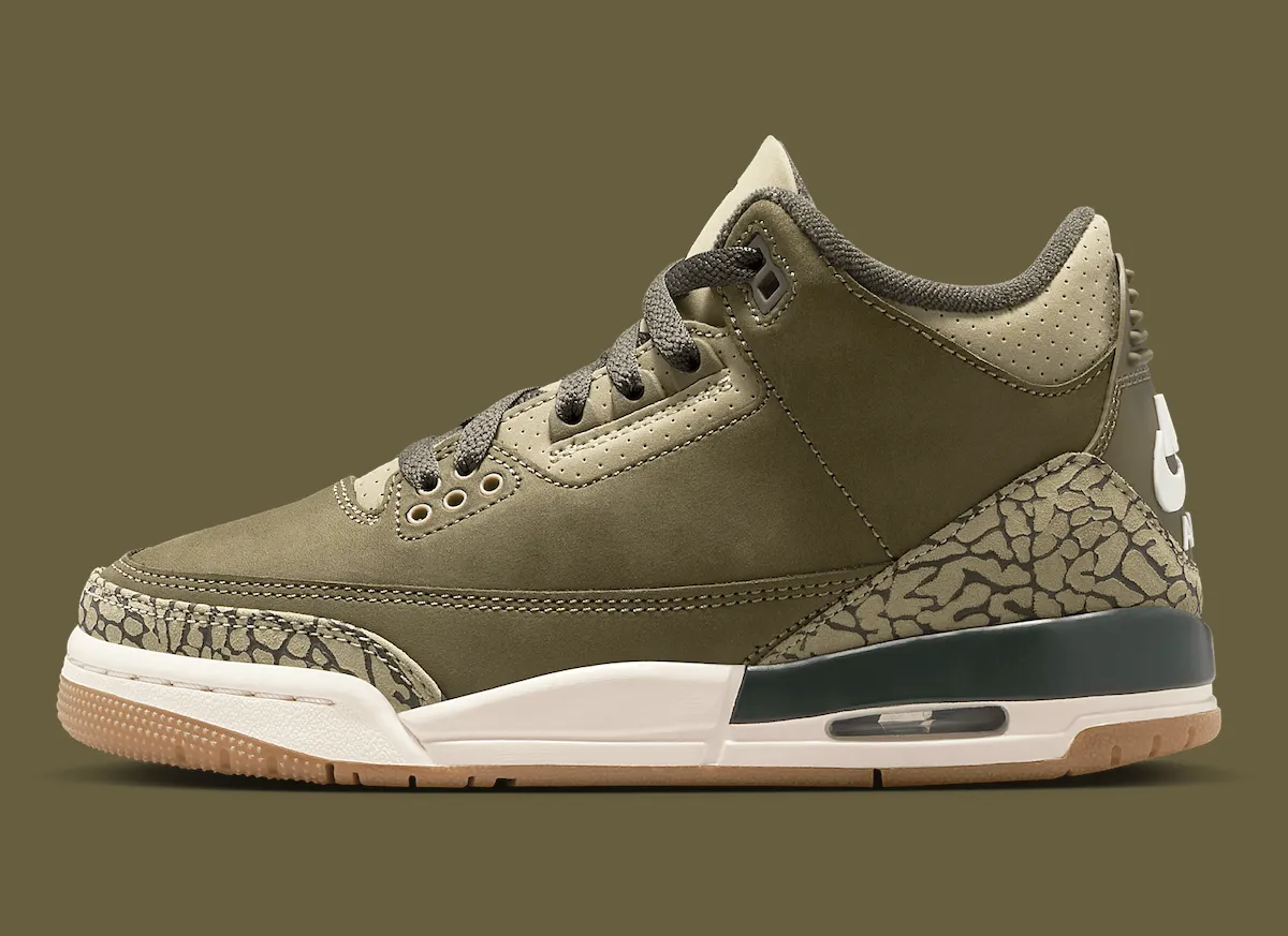 Air Jordan 3 Family Affair DN3707-202