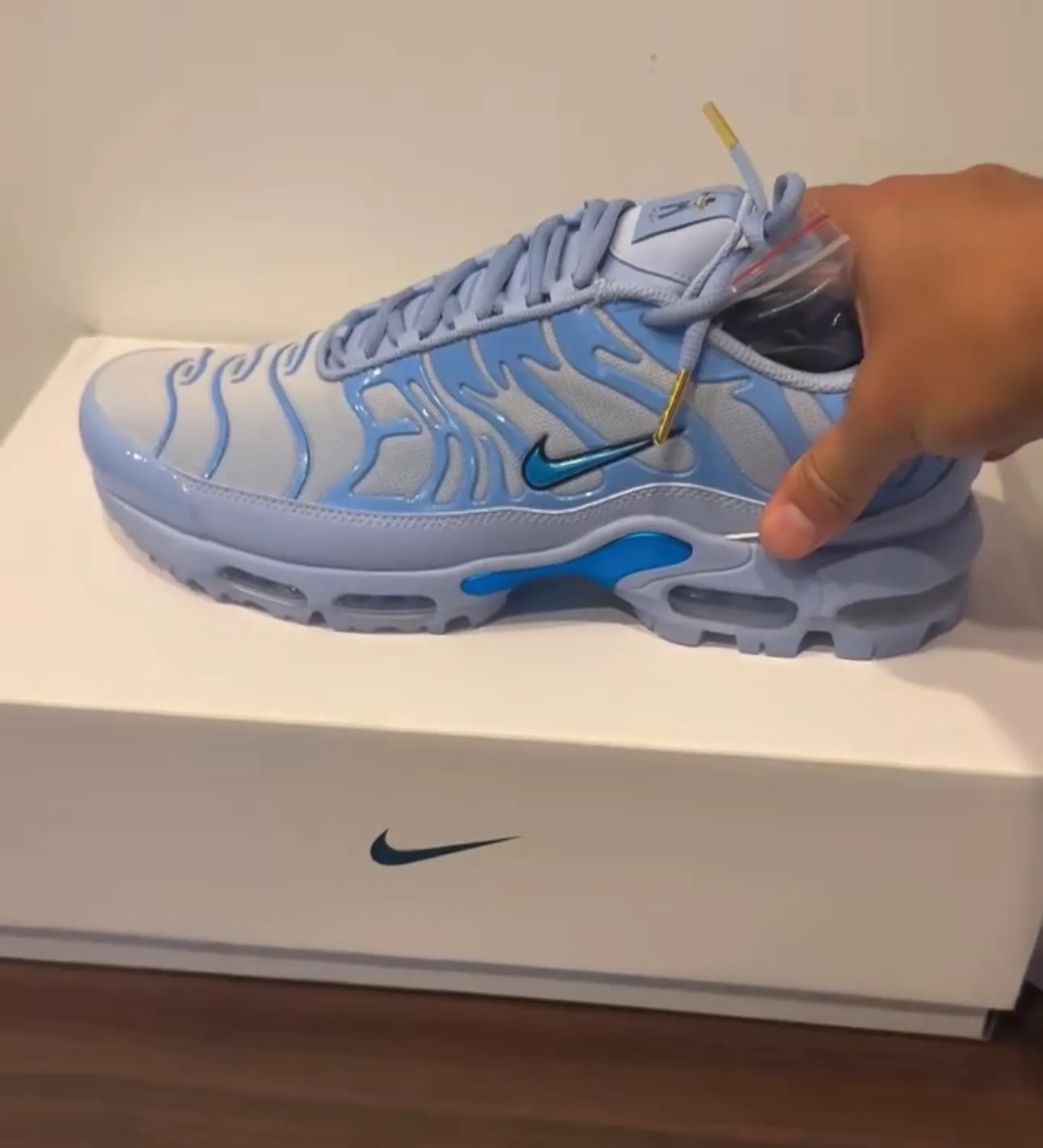 Eastside Golf Nike Air Max Plus HV4363-400
