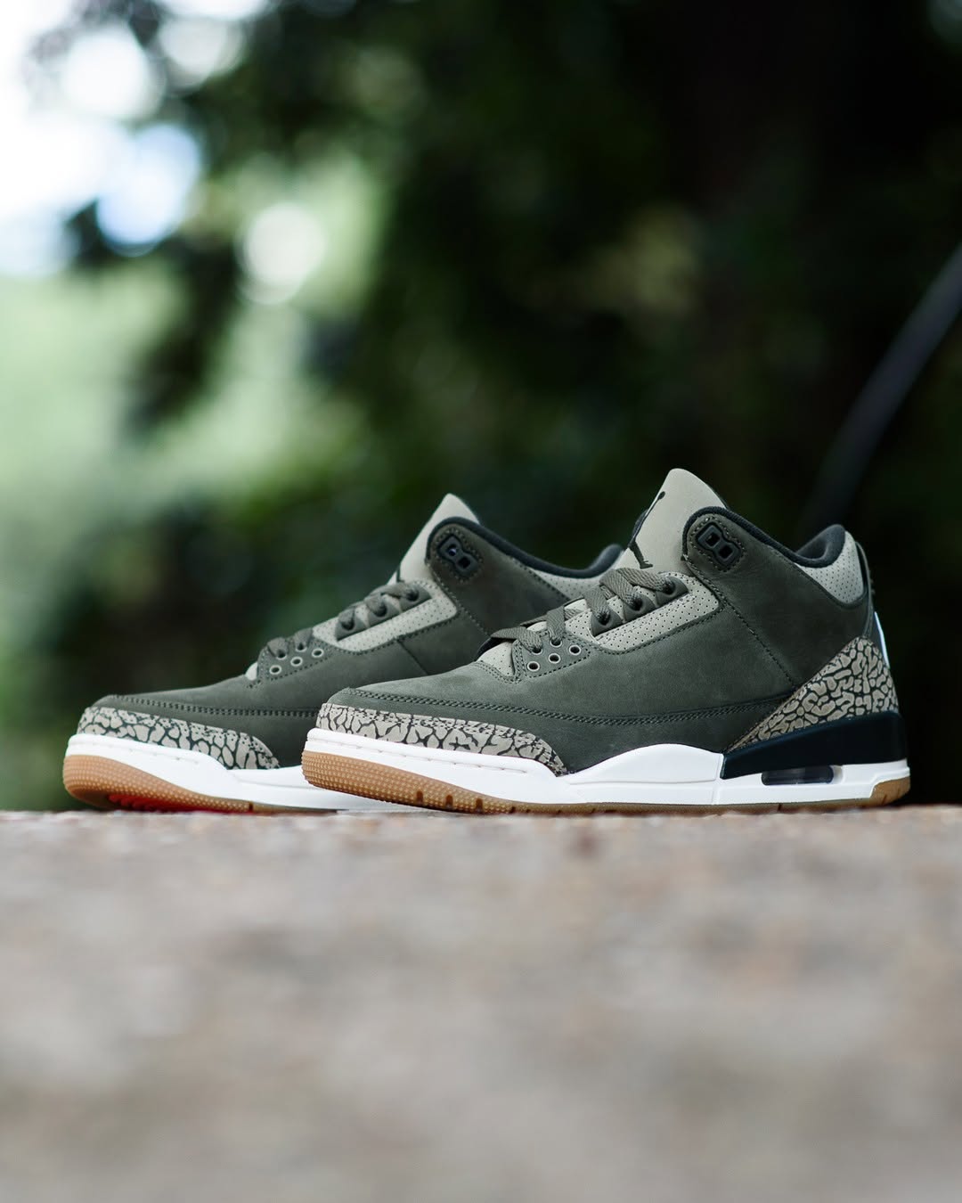 The Air Jordan 3 “Family Affair” Releases Today