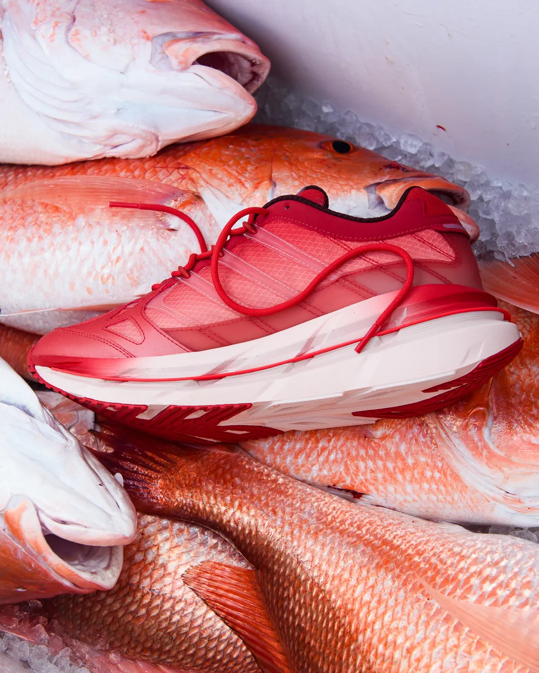 Politics adidas Adistar HRMY Red Snapper HP3634