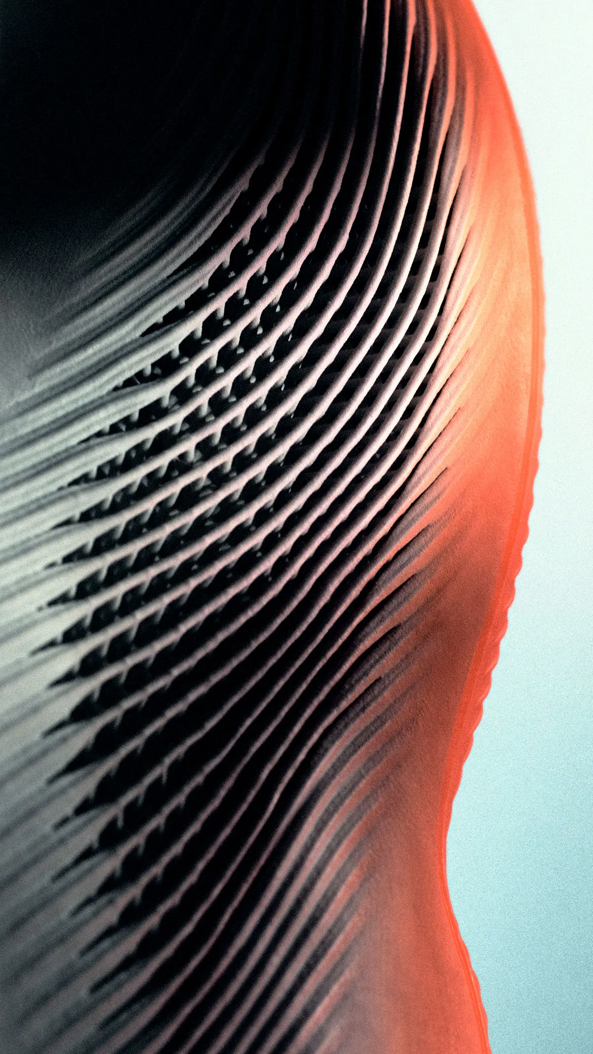 adidas 3D Printed Basketball shoe