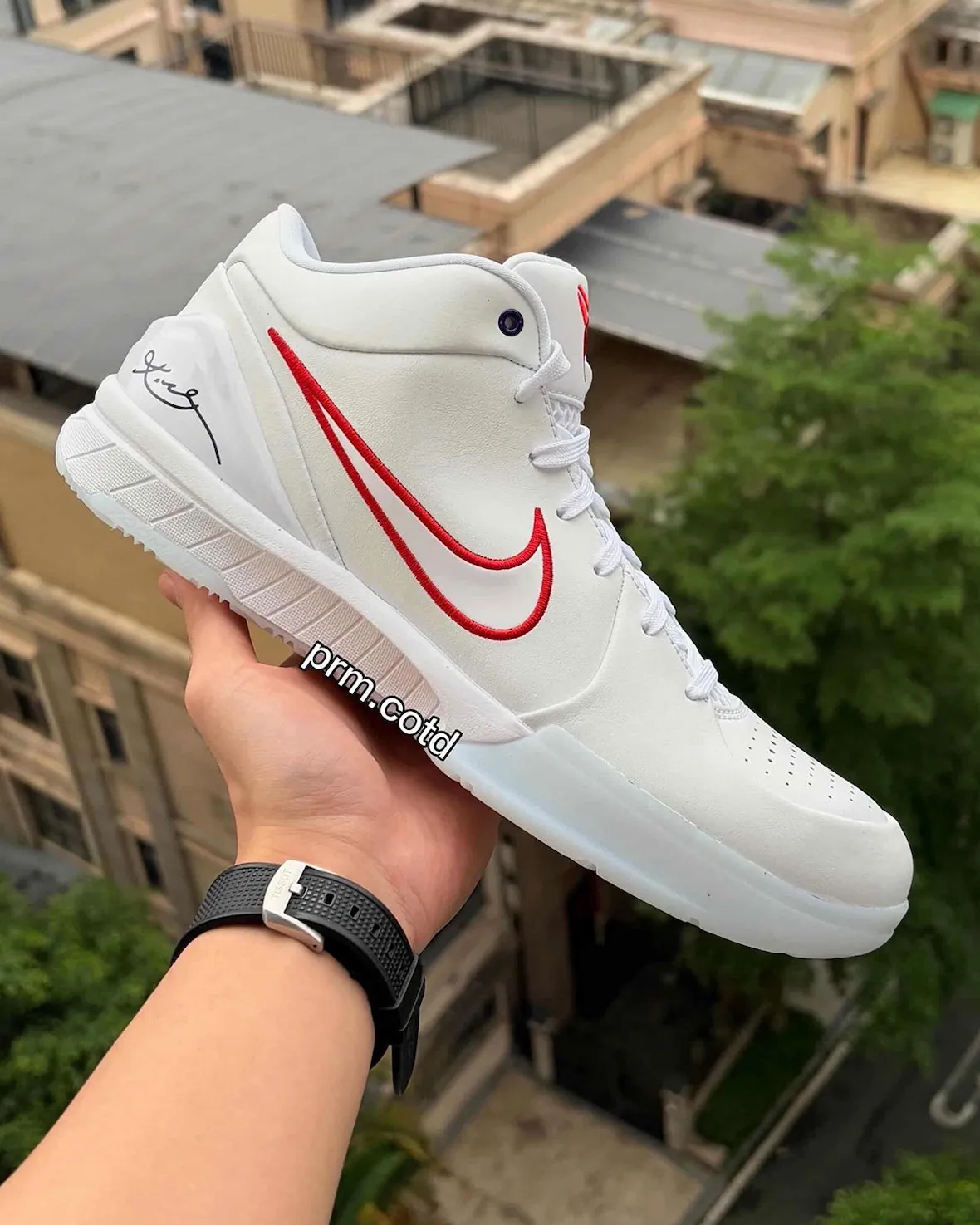 Nike Kobe 4 Draft Day Pack - Raptors