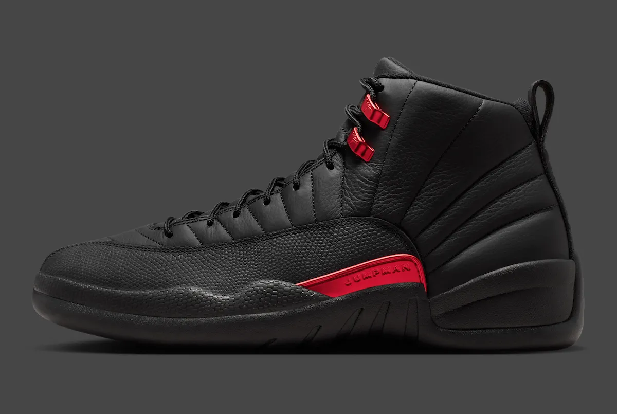 Air Jordan 12 Bloodline CT8013-003