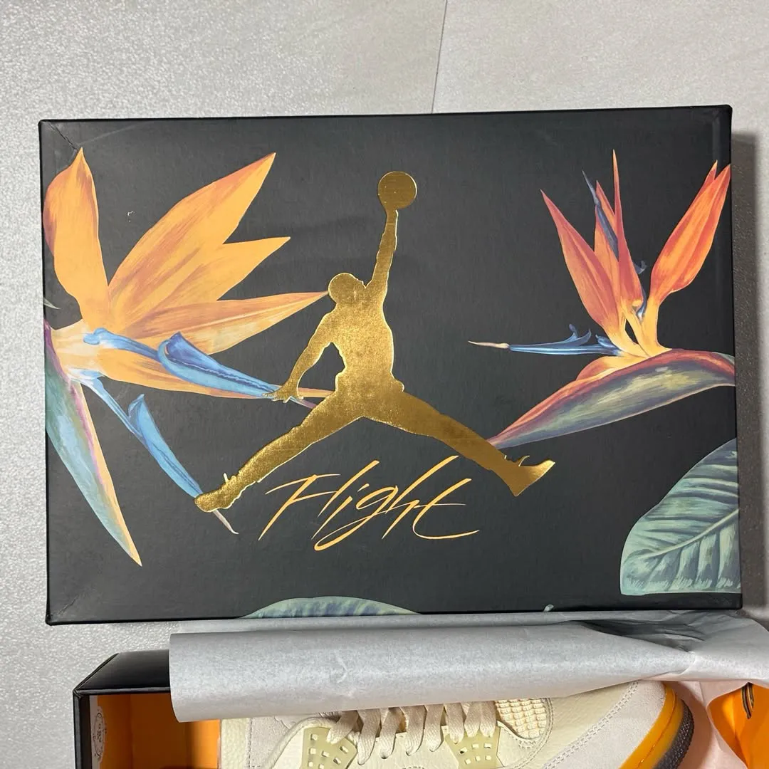 Air Jordan 4 Birds Of Paradise HV0823-101 10