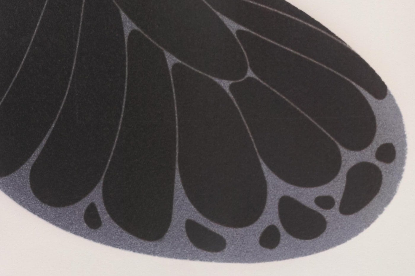 Black-and-grey butterfly wing graphic printed across the base of the blacktoes ASICS collaboration, nodding to metamorphosis