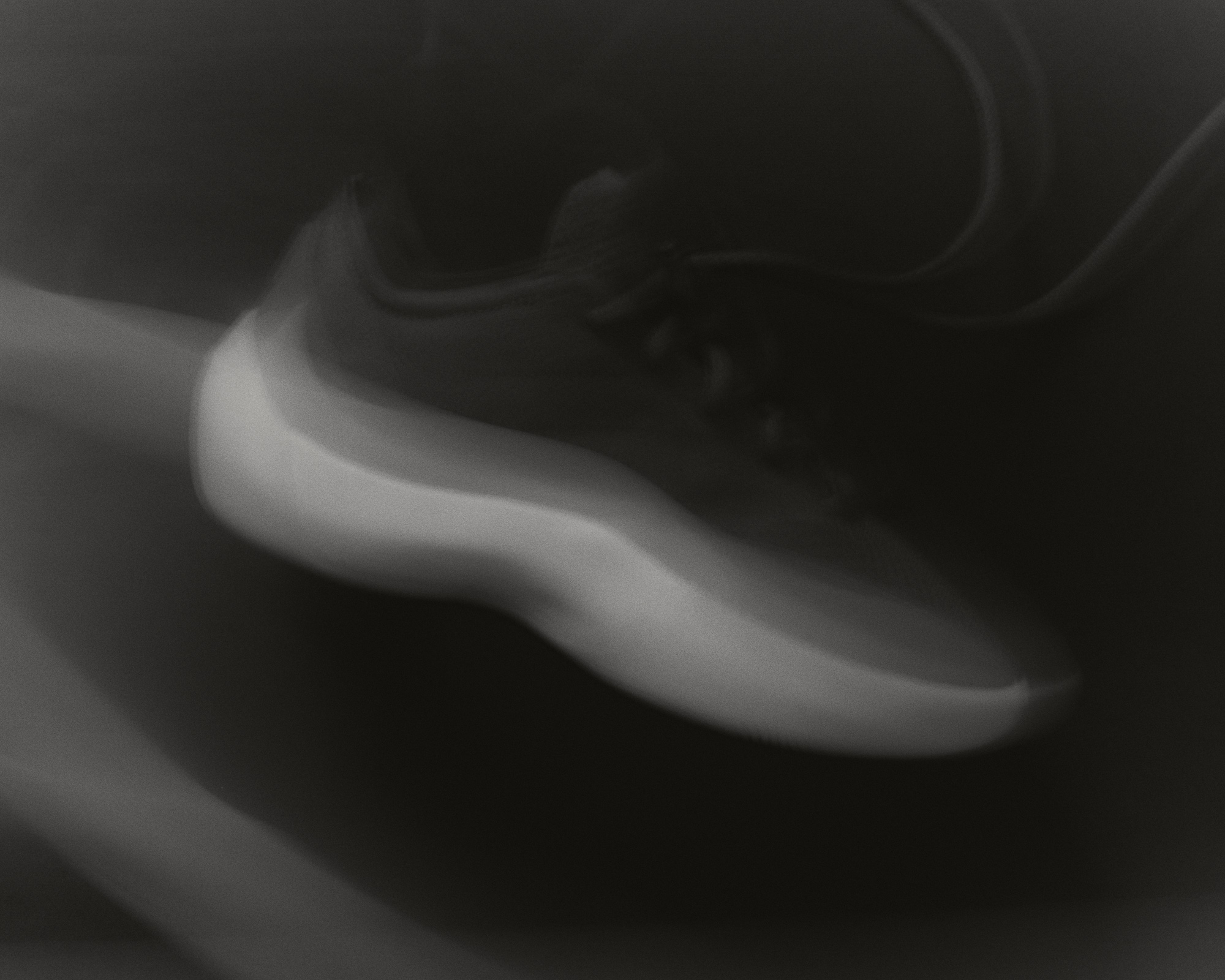 Abstract editorial blur of the Fear of God Athletics III Basketball "Cinder" lateral profile