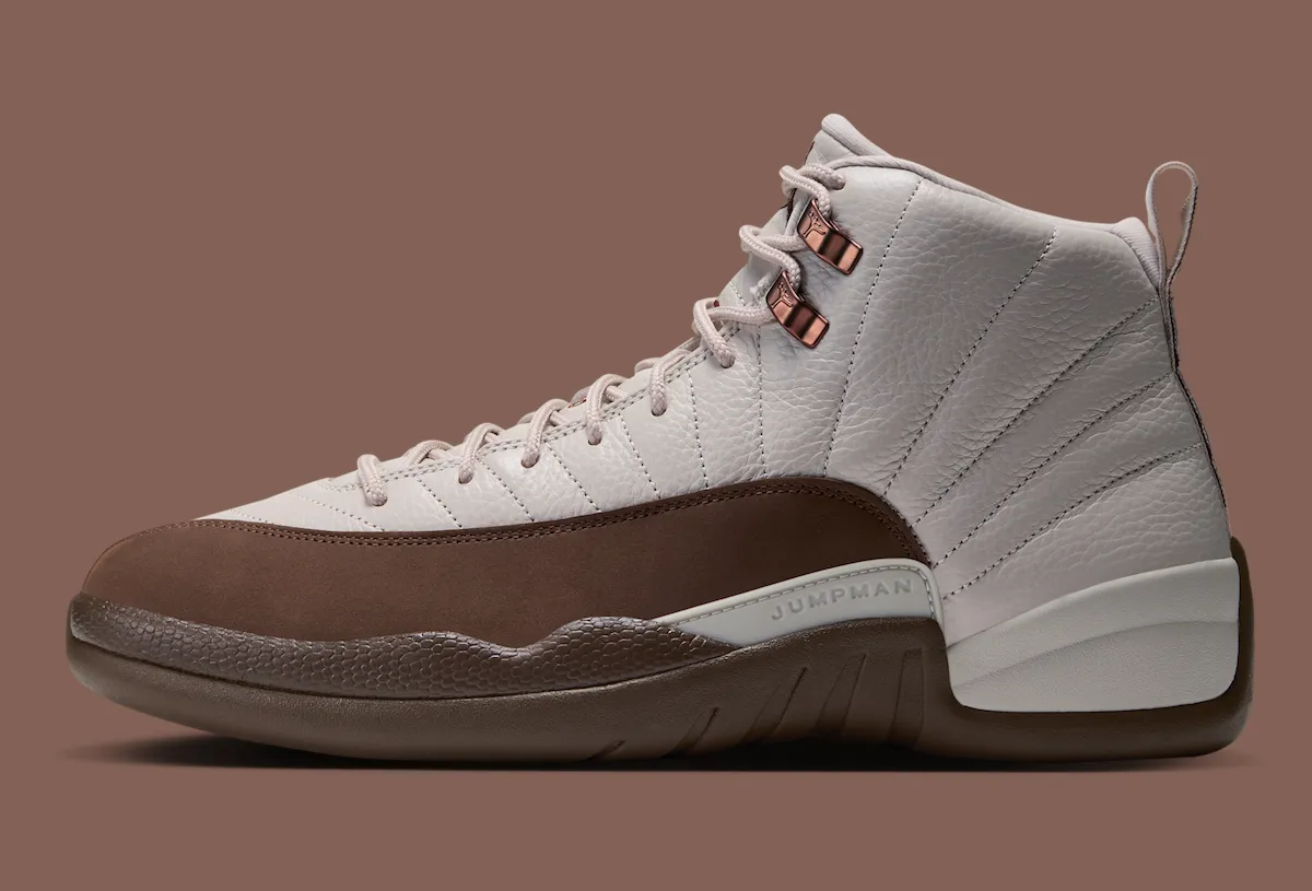 Air Jordan 12 Fireside CT8013-105